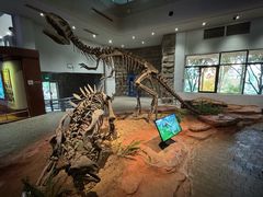 -自贡恐龙博物馆