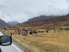 -扁都口生态休闲旅游区