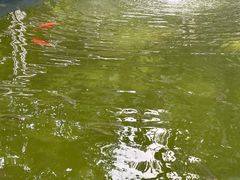 -银瓶山森林公园(谢岗镇)