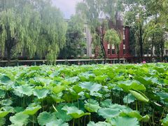 -四川大学(望江校区)