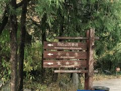 -阳台山自然风景区