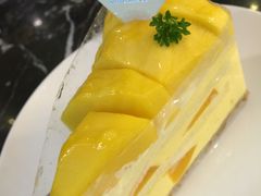 -倾城密码(大唐店)