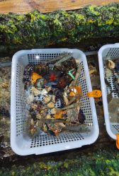 -钓虾工场·钓虾·赶海(回龙观店)