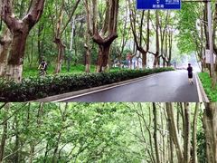 -灵谷景区