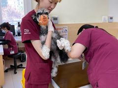 -美联众合动物医院·24h京西诊疗中心
