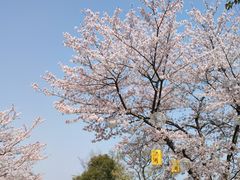 -尚湖风景区