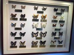 -上海昆虫博物馆