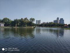 -荔湾湖公园
