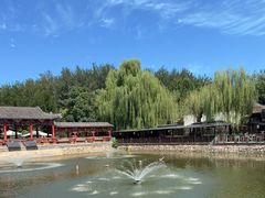 -尚庄度假村·庭台树下·户外烧烤·团建CS·轰趴营地(上庄水库店)