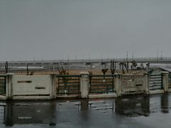 -芦潮港集贸市场