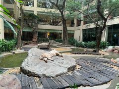 -白虎自助餐厅·真老虎·景观自助餐厅(广州长隆酒店)