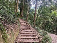 -广州市帽峰山景区