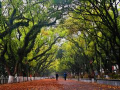-桂林两江四湖景区