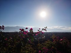 -丽江花间堂·隐泉院