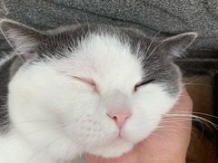-宠福鑫康馨动物医院·骨科·眼科
