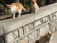-四门塔风景区