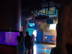 -烟台海昌鲸鲨海洋公园