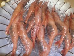 -吉兆·料理(红梅南路店)