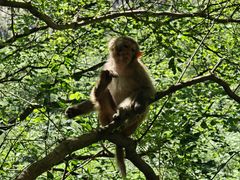 -山西通天峡景区