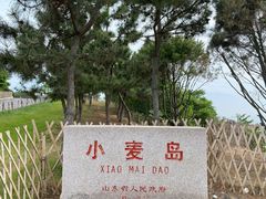-小麦岛公园