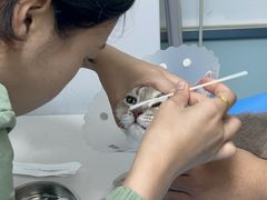 -达爱动物医院·犬猫分区·CT·复杂眼科(远洋山水分院)