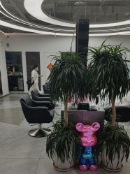 -ON STAR SALON