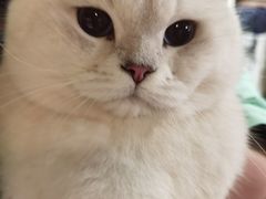 -藦茜花园宠物主题亲子互动体验馆(国顺东路店)