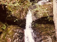 -燕子河大峡谷天坑仙境