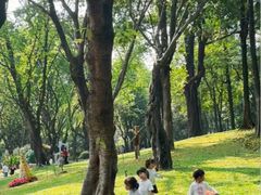 -云溪植物园