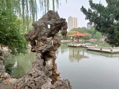 -西苑公园