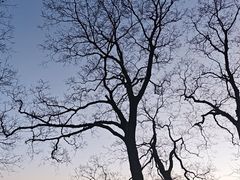 -灵顺寺