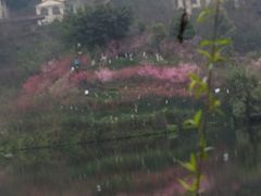 -重庆彩云湖湿地公园