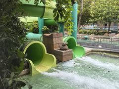 -新加坡水上探险乐园