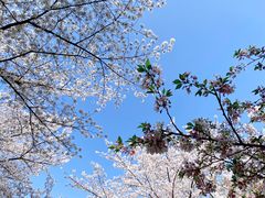 -苏州上方山国家森林公园