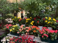 -山水茶艺馆·点心粤菜·30年老字号