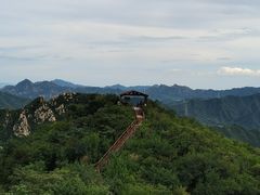 -大岭沟猕猴桃谷风景区