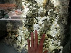 -湖南省地质博物馆