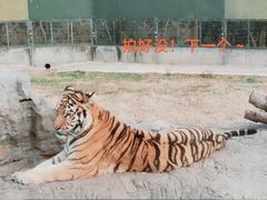 -上海野生动物园