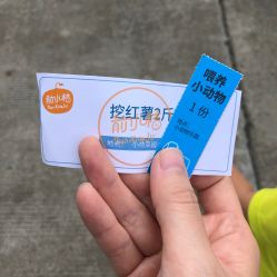 -前小桔亲子创意农场·草莓采摘·露营烧烤