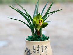 -西湖风景区十里琅珰-五云山