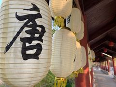 -济南方特东方神画