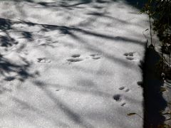 -叠溪松坪沟景区