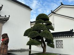 -广富林宰相府酒店·水云间