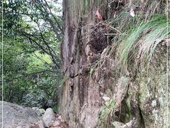-浙北大峡谷