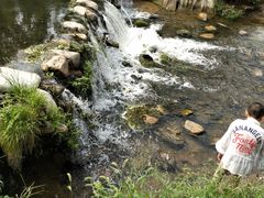 -长白岛森林公园