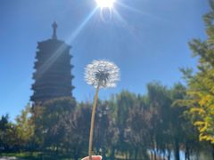 -北京雁栖湖国际会展中心