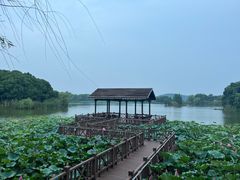 -上海市保健医疗中心