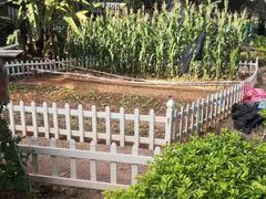 -观澜湖生态运动公社