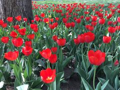 -长春公园(普阳街道)