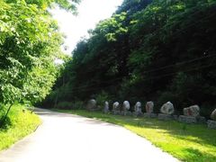 -青峰峡国家森林公园